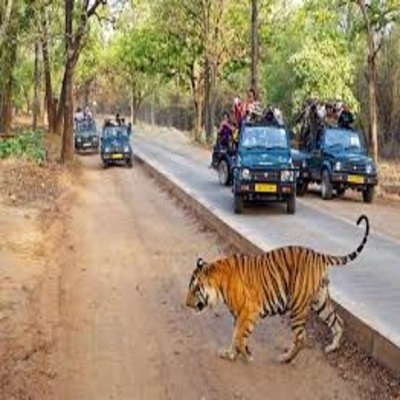 pench safari zones